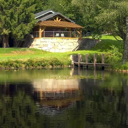 Villa L'ilet aux 2 étangs Saint-Nabord Esterno foto