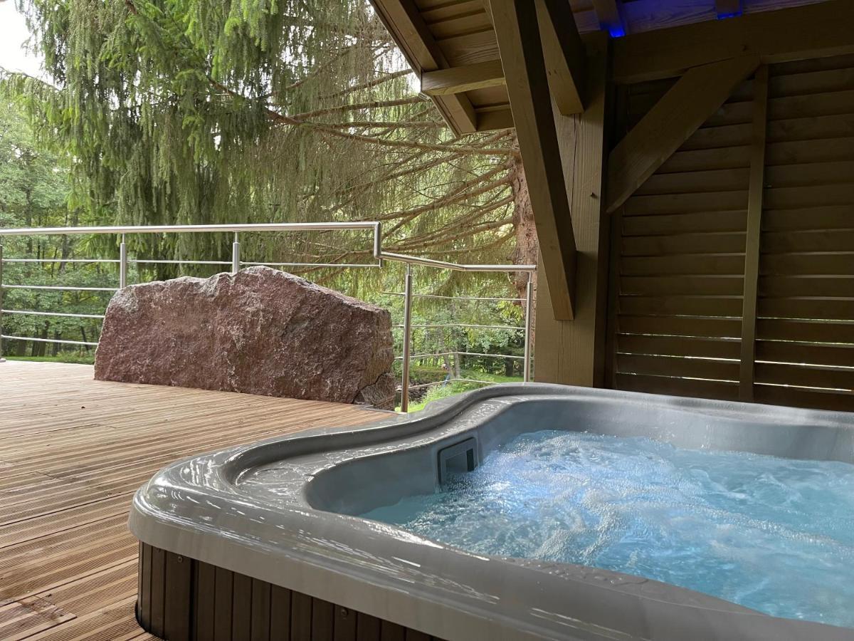 Villa L'ilet aux 2 étangs Saint-Nabord Esterno foto